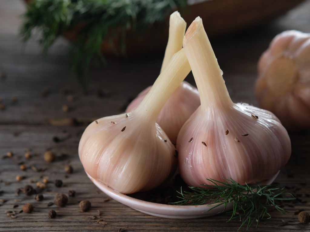 Alho movimento proalho 2